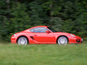 Porsche Cayman 2006 года
